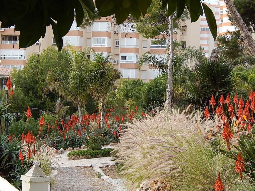 Apartamento La Corbeta Torrox Habitación foto